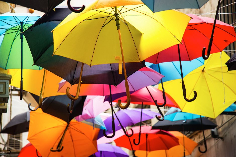 assorted colors umbrella